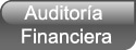 Auditor�a financiera